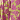 Chartreuse/Magenta